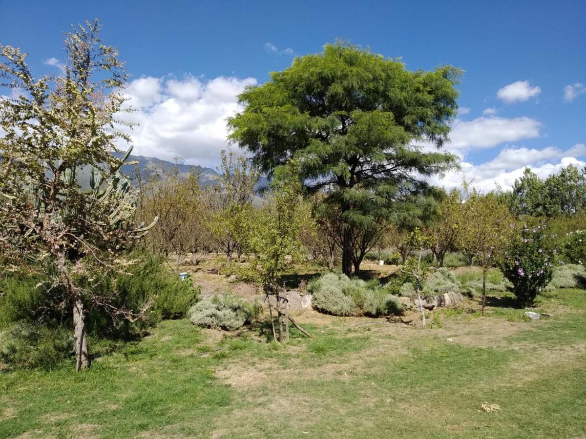 Finca La Julia Luyaba Exterior foto